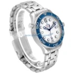 Omega Seamaster 233.30.41.21.01.001 “Master Co-Axial” Exceptional Replica 1:1 - 图片 2